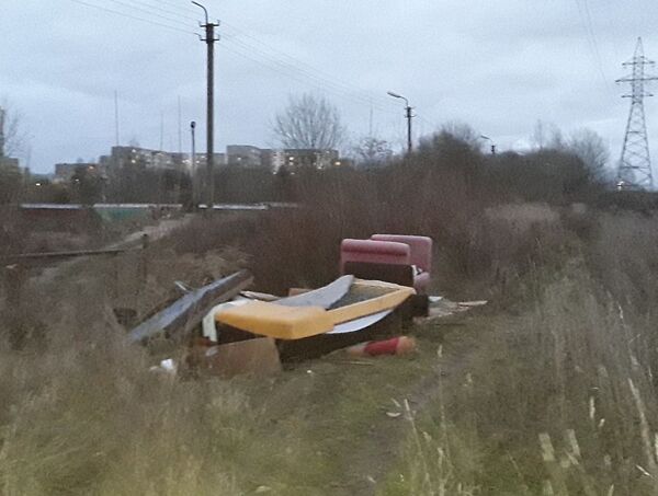 Это не помойка: в Вильнюсе ищут людей, бросивших мусор в лесу - Sputnik Литва