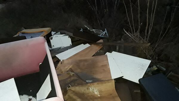 Это не помойка: в Вильнюсе ищут людей, бросивших мусор в лесу - Sputnik Литва