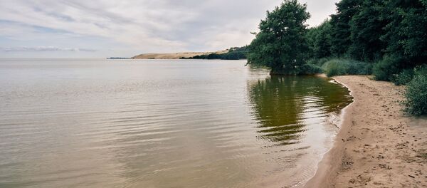 Берег Кушского залива и пляж в национальном парке Куршская коса в Калининградской области - Sputnik Литва