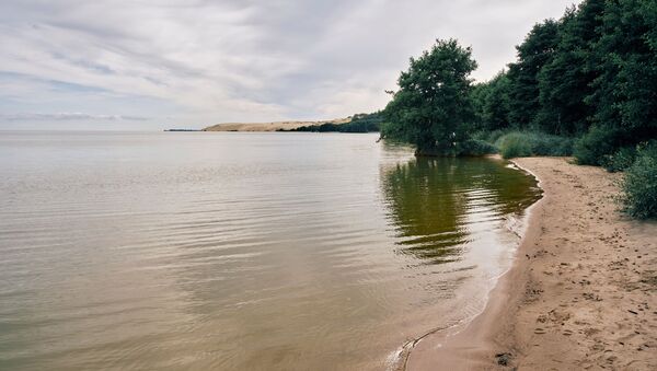 Берег Кушского залива и пляж в национальном парке Куршская коса в Калининградской области - Sputnik Литва