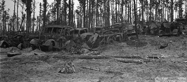 Vokiečių karinė technika netoli Oriolo miesto Vokiečių karinė technika netoli Oriolo miesto - Sputnik Lietuva