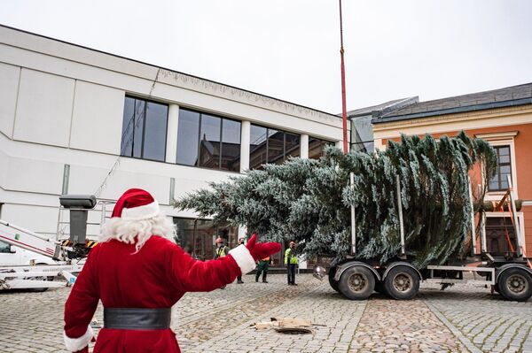 Установка рождественской ели в Клайпеде попала на видео - Sputnik Литва