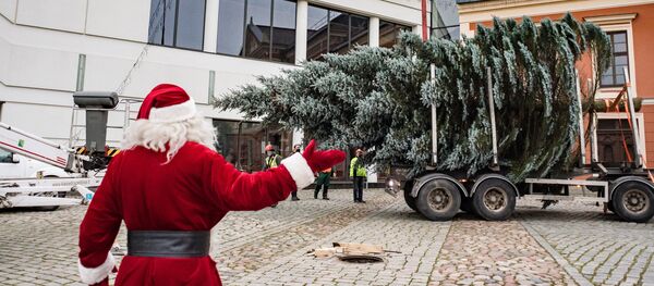 Į Klaipėdą atvežta Kalėdų eglutė Į Klaipėdą atvežta Kalėdų eglutė - Sputnik Lietuva