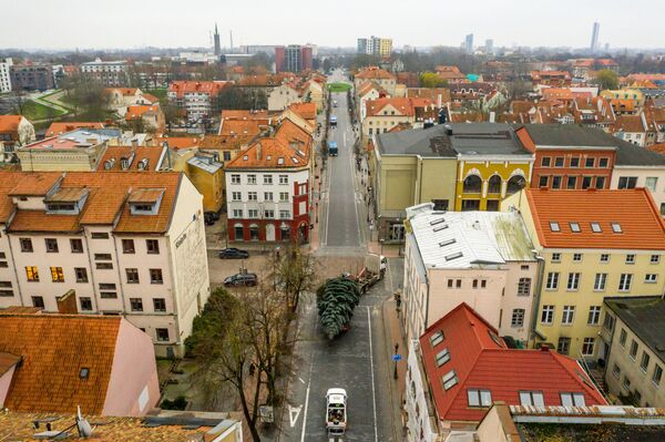 Установка рождественской ели в Клайпеде попала на видео - Sputnik Литва