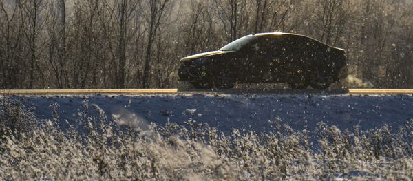 Заснеженные автомобиль и деревья, архивное фото - Sputnik Литва