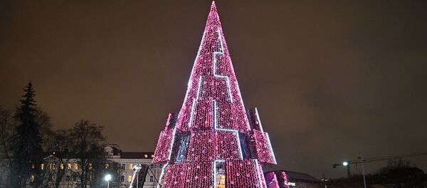 Зажжение Рождественской елки в Вильнюсе Зажжение Рождественской елки в Вильнюсе - Sputnik Литва