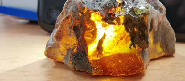 Контрабанды янтаря в пункте Мядининкай - Sputnik Литва