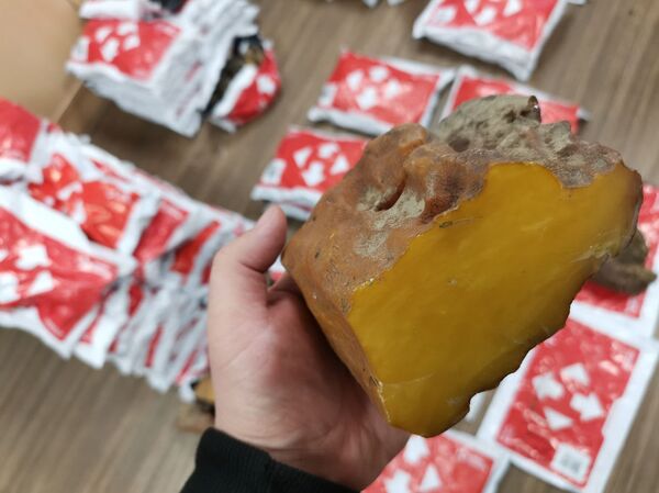 В Литве задержали больше ста килограммов украинского янтаря В Литве задержали больше ста килограммов украинского янтаря - Sputnik Литва