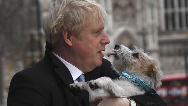 Премьер-министр Великобритании Борис Джонсон со своей собакой по кличке Дилэн - Sputnik Lietuva