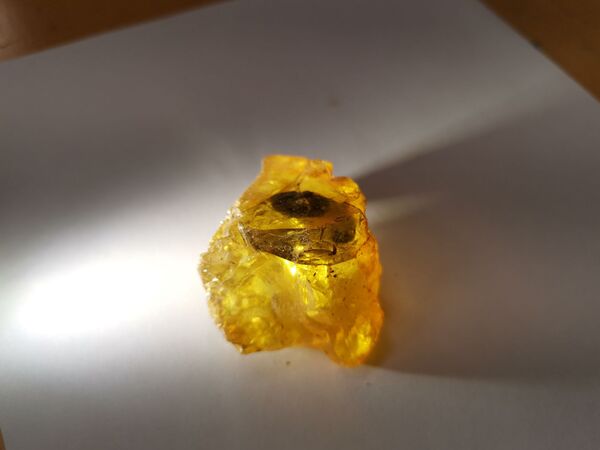 В Литве задержали больше ста килограммов украинского янтаря В Литве задержали больше ста килограммов украинского янтаря - Sputnik Литва