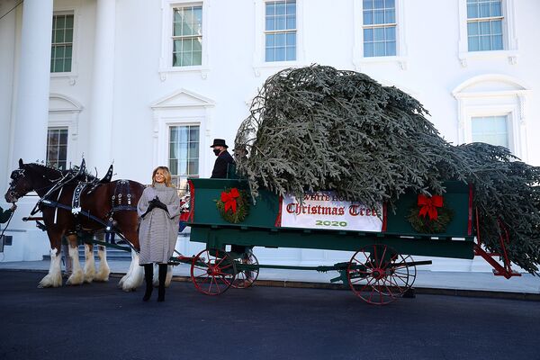 Мелания Трамп встречает рождественскую елку в Белом Доме - Sputnik Lietuva