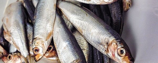 Каспийская килька Каспийская килька - Sputnik Lietuva