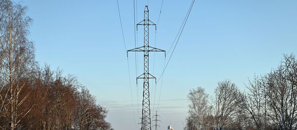 Elektros perdavimo linijos Elektros perdavimo linijos - Sputnik Lietuva