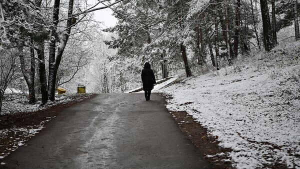 Прохожий гуляет в парке зимой - Sputnik Lietuva