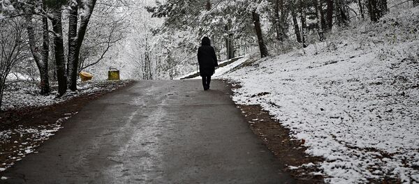 Прохожий гуляет в парке зимой Прохожий гуляет в парке зимой - Sputnik Lietuva