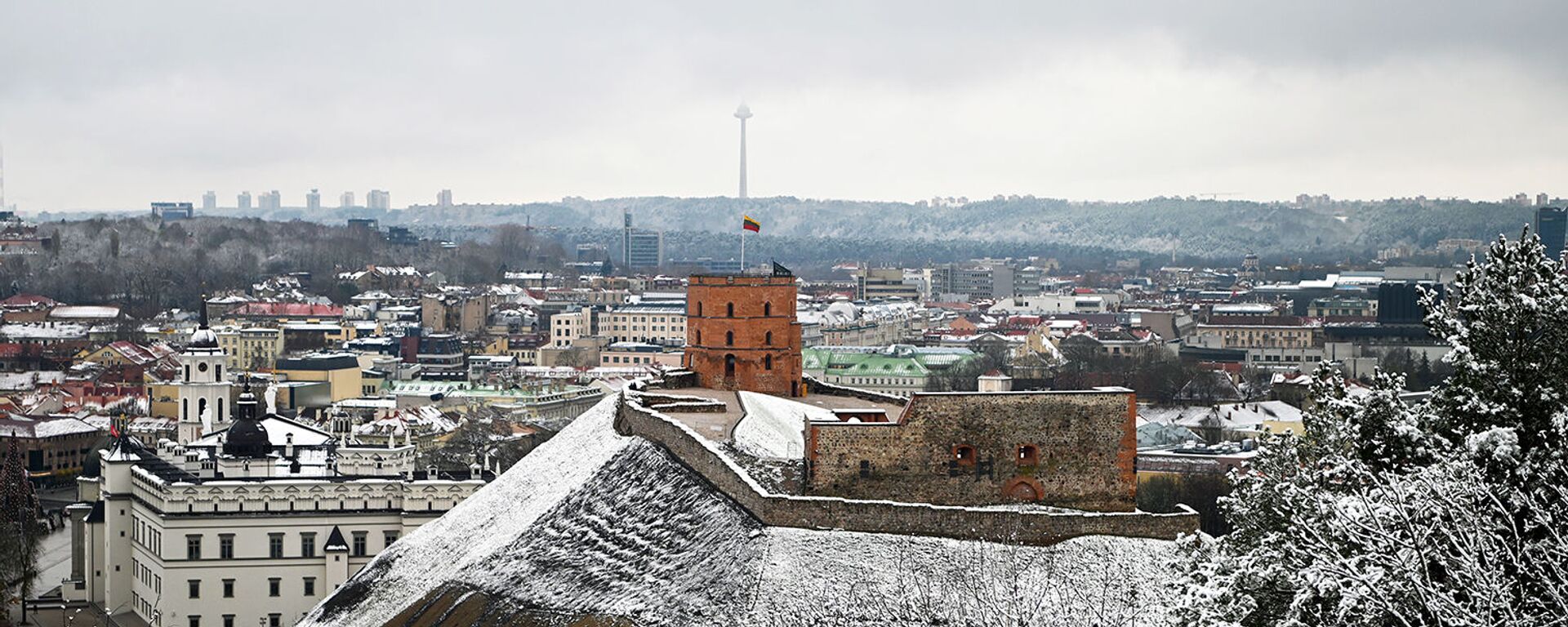 Вид на башню Гедеминаса в Вильнюсе - Sputnik Lietuva, 1920, 04.02.2021