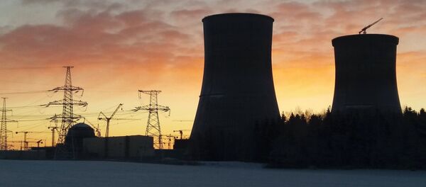 Зима на Белорусской АЭС - Sputnik Литва