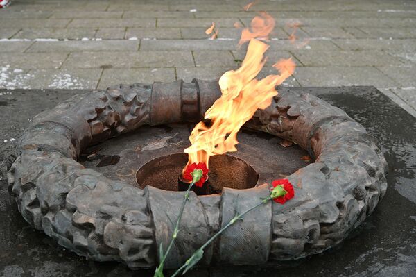 Международный день памяти неизвестного солдата в Вильнюсе - Sputnik Lietuva