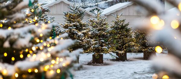Елочный базар в Вильнюсе, архивное фото Елочный базар в Вильнюсе, архивное фото - Sputnik Литва