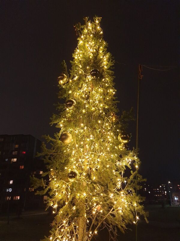 Nuo šventinių žirafų iki didžiulio kalėdinio vainiko: Kalėdos Vilniaus rajonuose Nuo šventinių žirafų iki didžiulio kalėdinio vainiko: Kalėdos Vilniaus rajonuose - Sputnik Lietuva