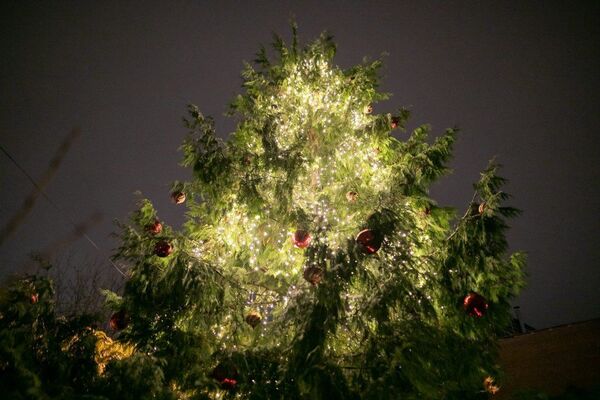 Nuo šventinių žirafų iki didžiulio kalėdinio vainiko: Kalėdos Vilniaus rajonuose Nuo šventinių žirafų iki didžiulio kalėdinio vainiko: Kalėdos Vilniaus rajonuose - Sputnik Lietuva