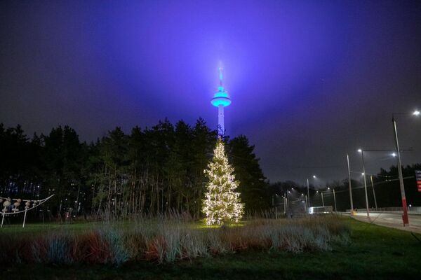 Nuo šventinių žirafų iki didžiulio kalėdinio vainiko: Kalėdos Vilniaus rajonuose Nuo šventinių žirafų iki didžiulio kalėdinio vainiko: Kalėdos Vilniaus rajonuose - Sputnik Lietuva