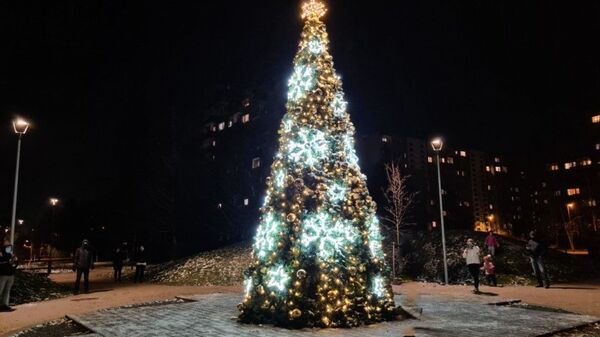 Nuo šventinių žirafų iki didžiulio kalėdinio vainiko: Kalėdos Vilniaus rajonuose Nuo šventinių žirafų iki didžiulio kalėdinio vainiko: Kalėdos Vilniaus rajonuose - Sputnik Lietuva