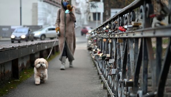 Женщина с собакой гуляет по улице Вильнюса - Sputnik Lietuva