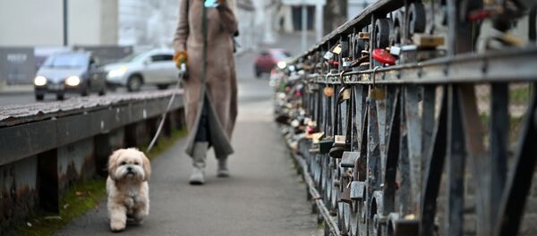 Женщина с собакой гуляет по улице Вильнюса Женщина с собакой гуляет по улице Вильнюса - Sputnik Lietuva