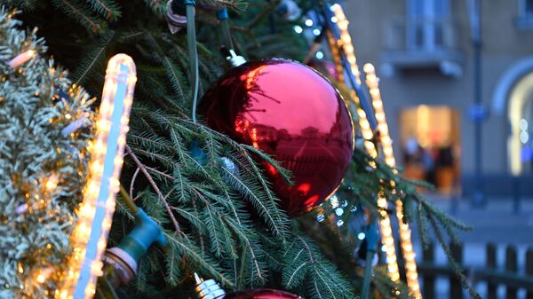 Рождественская елка расположилась на Ратушной площади столицы - Sputnik Lietuva