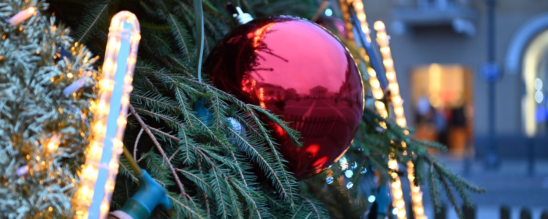 Рождественская елка расположилась на Ратушной площади столицы - Sputnik Литва, 1920, 19.11.2021