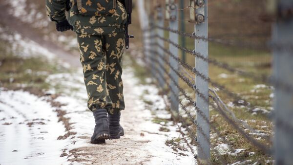 Сотрудник пограничной заставы патрулирует участок белорусской границы - Sputnik Литва