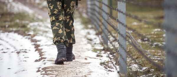 Сотрудник пограничной заставы имени Кижеватова в Брестской области патрулирует участок белорусско-польской границы Сотрудник пограничной заставы имени Кижеватова в Брестской области патрулирует участок белорусско-польской границы - Sputnik Lietuva