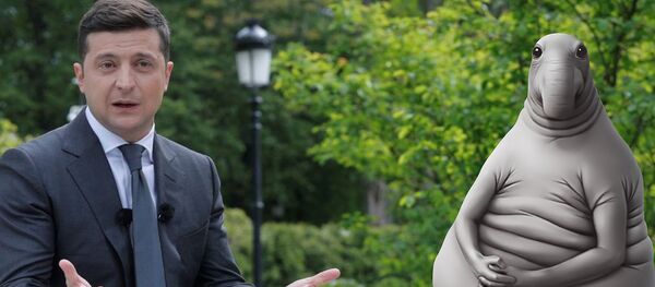 Kijevas pasidavė? Ukrainoje gali prasidėti Rusijos vakcinos Sputnik V“ gamyba Kijevas pasidavė? Ukrainoje gali prasidėti Rusijos vakcinos Sputnik V“ gamyba - Sputnik Lietuva