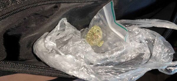 Sunkvežimio keleivis bandė iš Lietuvos į Baltarusiją įvežti marihuaną Sunkvežimio keleivis bandė iš Lietuvos į Baltarusiją įvežti marihuaną - Sputnik Lietuva