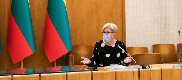 Премьер- министр Литвы Ингрида Шимоните Премьер- министр Литвы Ингрида Шимоните - Sputnik Lietuva