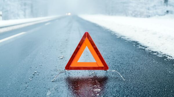 Знак аварийной остановки на зимней дороге - Sputnik Lietuva