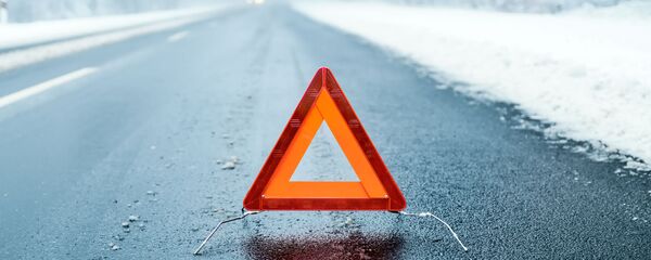 Знак аварийной остановки на зимней дороге - Sputnik Литва