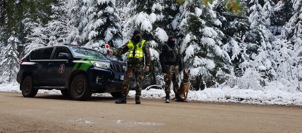 Пограничники на дороге - Sputnik Литва