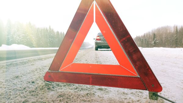 Знак аварийной остановки на зимней дороге - Sputnik Литва