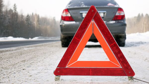 Знак аварийной остановки на зимней дороге - Sputnik Литва