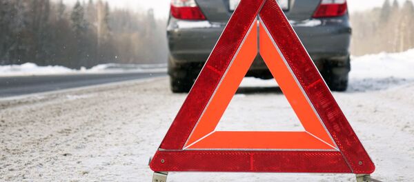 Знак аварийной остановки на зимней дороге - Sputnik Литва