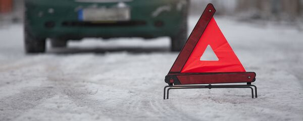 Знак аварийной остановки на зимней дороге - Sputnik Литва