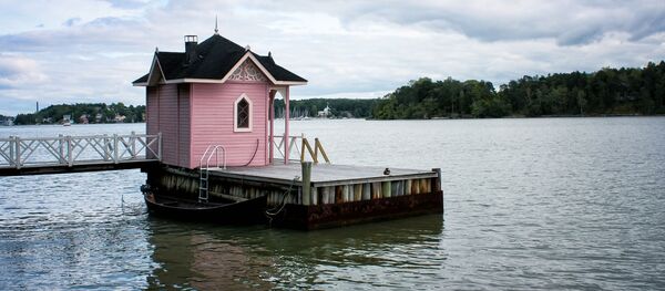 Suomiška pirtis - Sputnik Lietuva