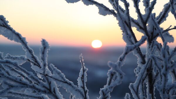Зимний рассвет, архивное фото - Sputnik Литва