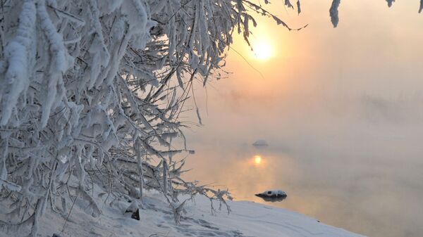 Солнце зимой - Sputnik Lietuva