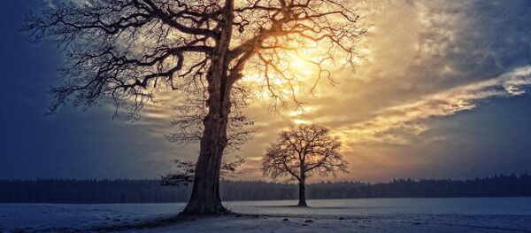 Зимнее солнце пробивается сквозь облака Зимнее солнце пробивается сквозь облака - Sputnik Lietuva