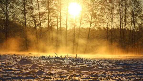 Восход солнца в зимнем лесу - Sputnik Литва