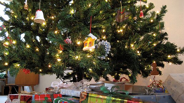 Рождественская елка в доме - Sputnik Литва