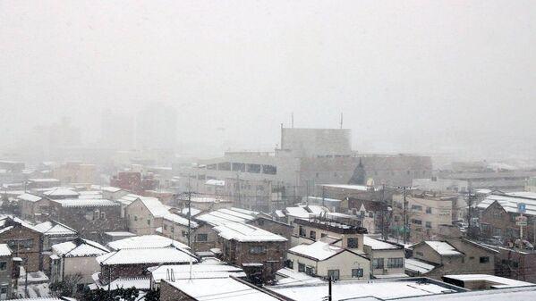 Снегопад в японском городе Касивадзаки - Sputnik Lietuva